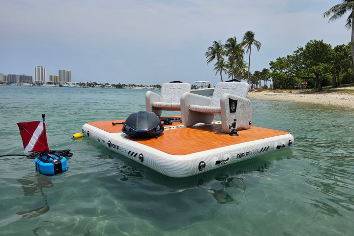a group of people swimming in a body of water